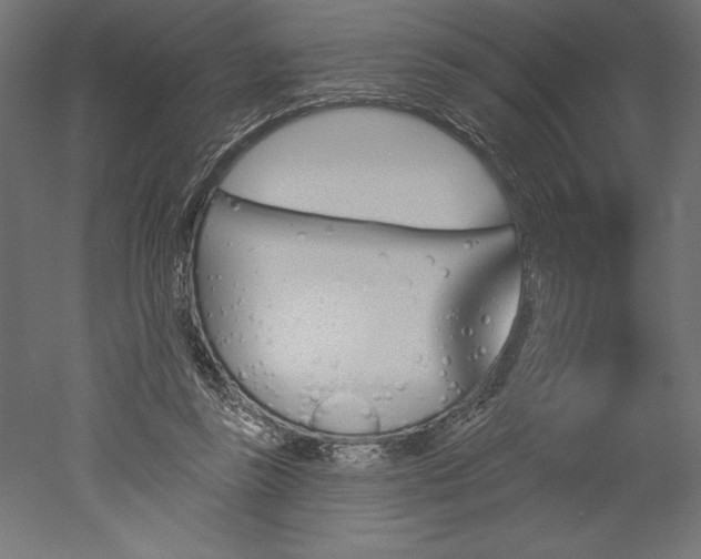 X0000051920355200507011606