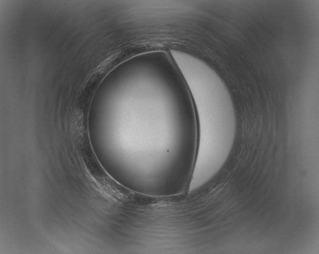 X0000051920356200507011606