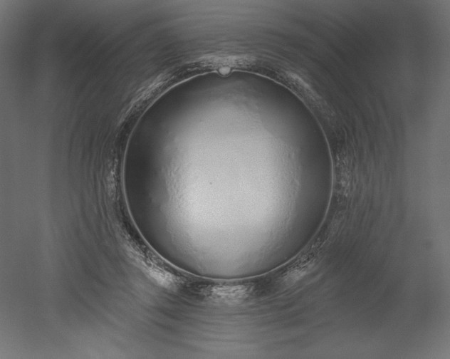 X0000051920357200507011606