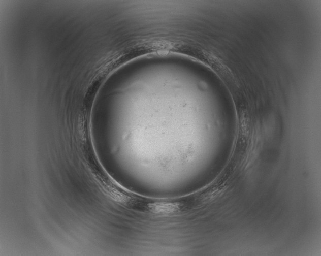 X0000051920359200507011606