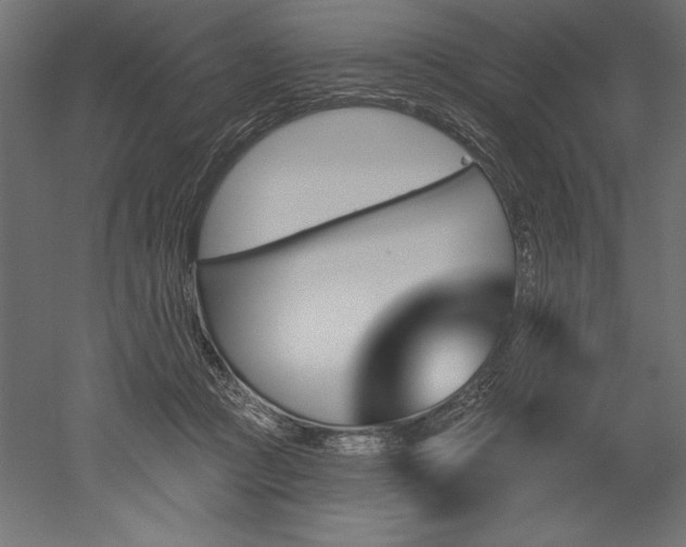 X0000051920361200507011606