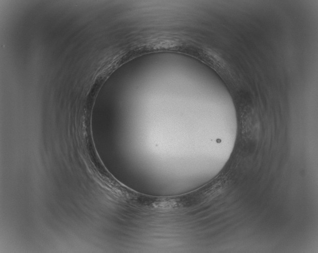 X0000051920362200507011606