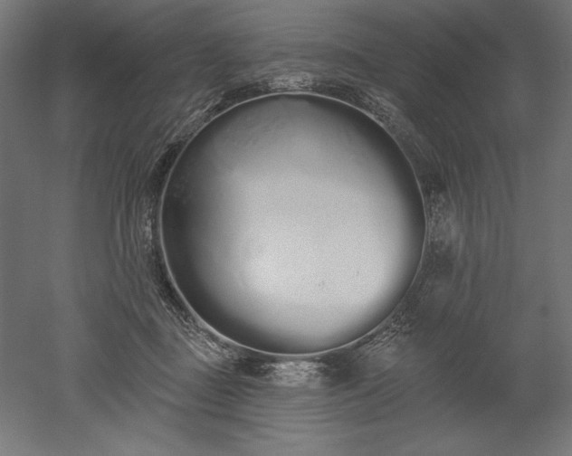 X0000051920363200507011606