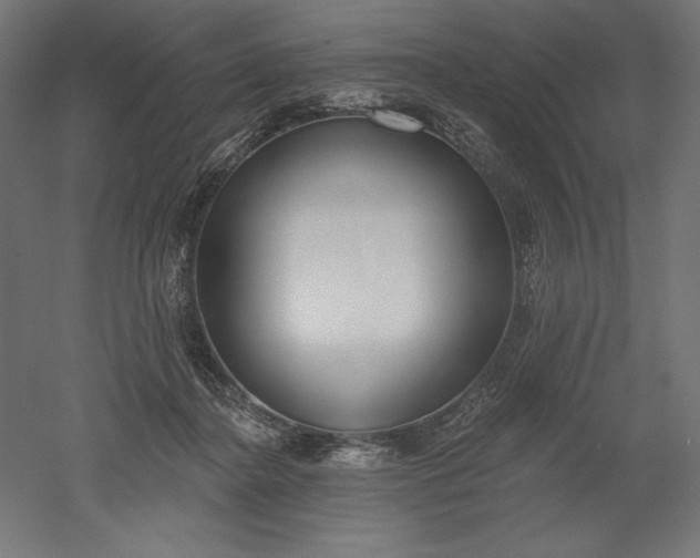X0000051920364200507011606