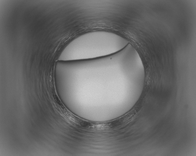 X0000051920365200507011606