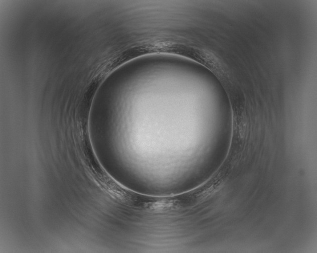 X0000051920366200507011606