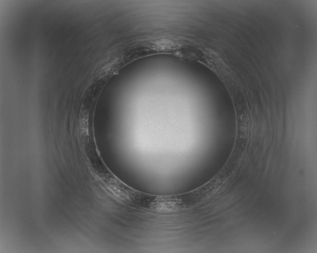 X0000051920368200507011606