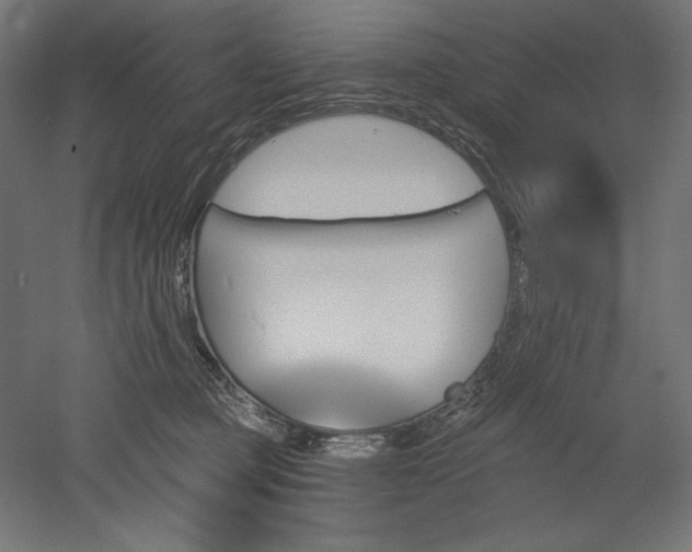 X0000051920373200507011606