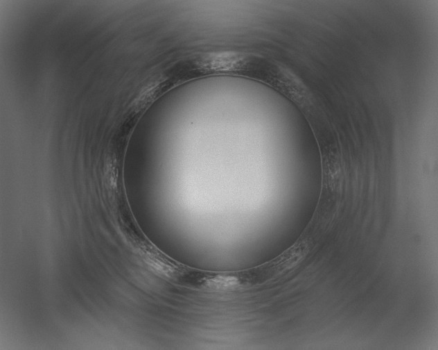 X0000051920374200507011606