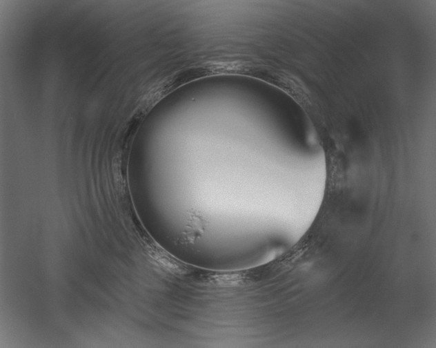 X0000051920377200507011606