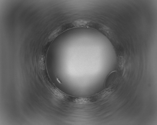 X0000051920378200507011606