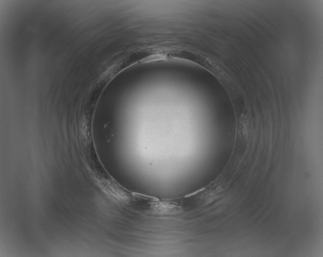 X0000051920380200507011606