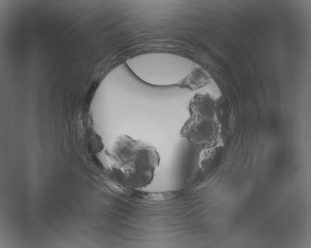 X0000051920381200507011606