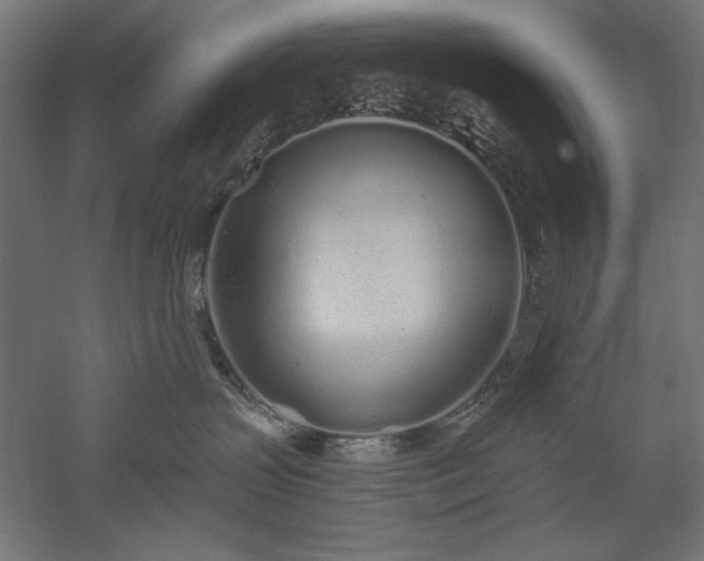 X0000051920383200507011606