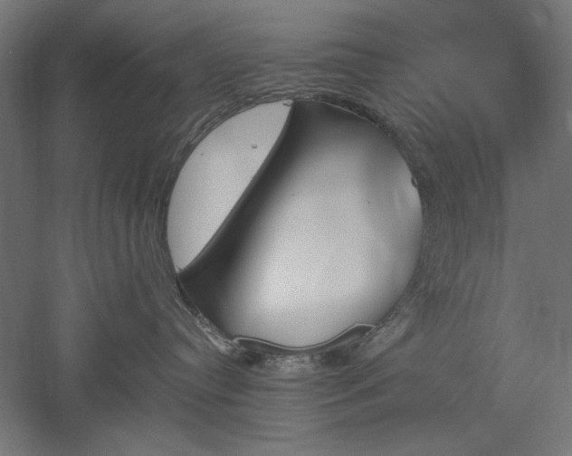 X0000051920384200507011606