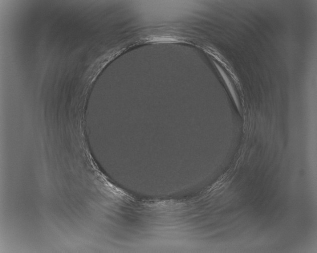 X0000051920385200507011605