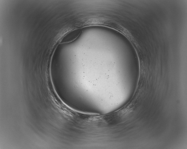 X0000051920386200507011605