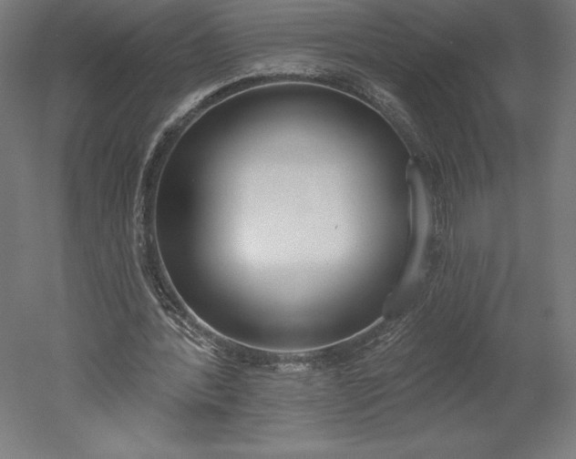 X0000051920388200507011605
