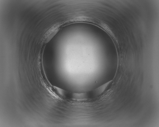 X0000051920389200507011605