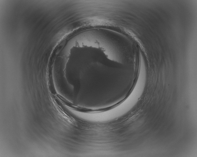 X0000051920391200507011605