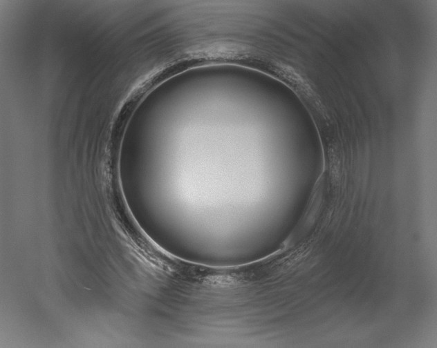 X0000051920392200507011605
