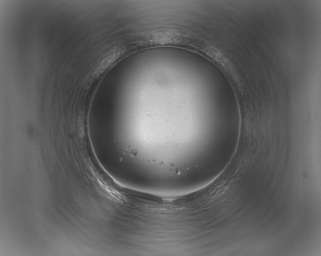 X0000051920393200507011605