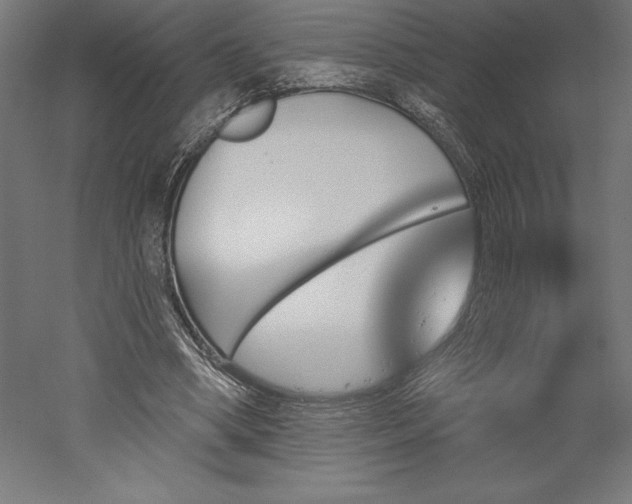 X0000051920394200507011605