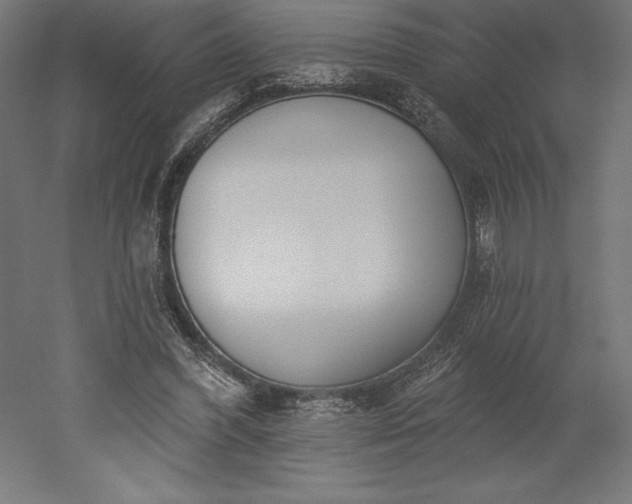 X0000051920396200507011605