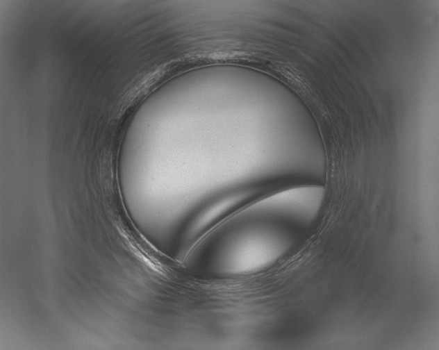 X0000051920397200507011605