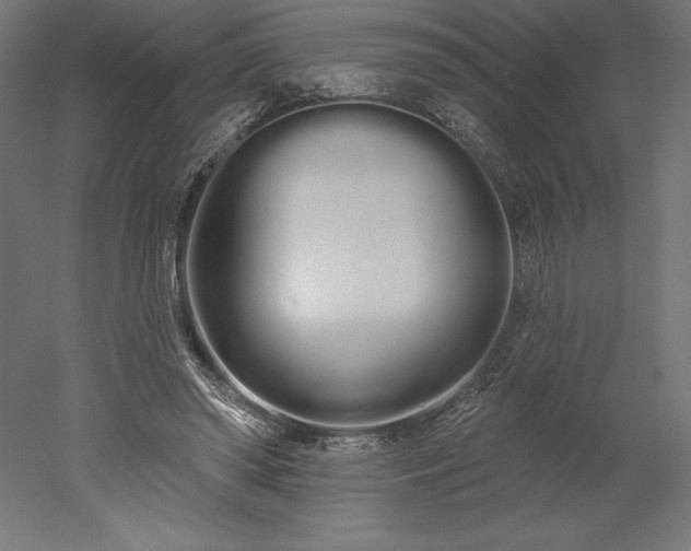 X0000051920398200507011605