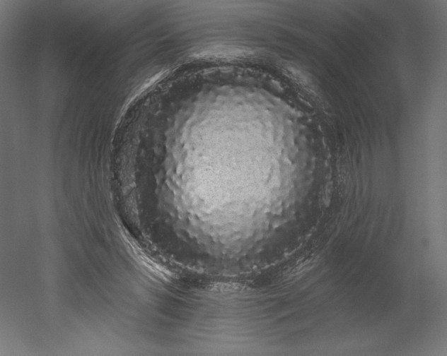 X0000051920399200507011605