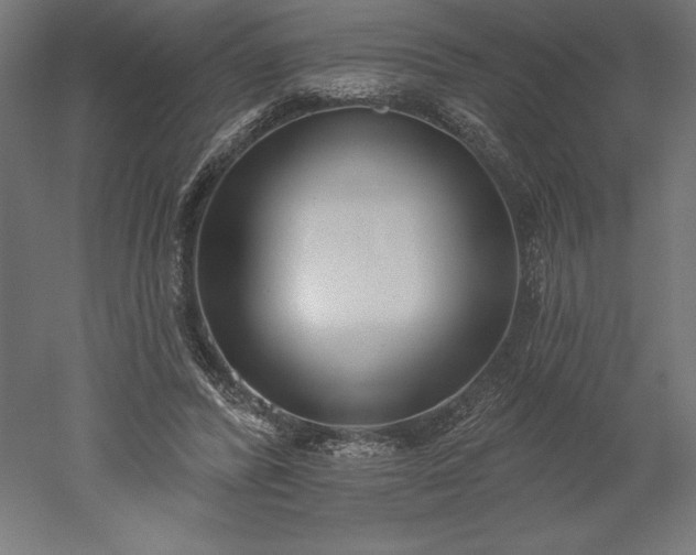 X0000051920400200507011605
