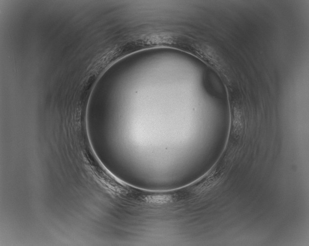 X0000051920402200507011605