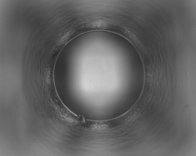 X0000051920403200507011605