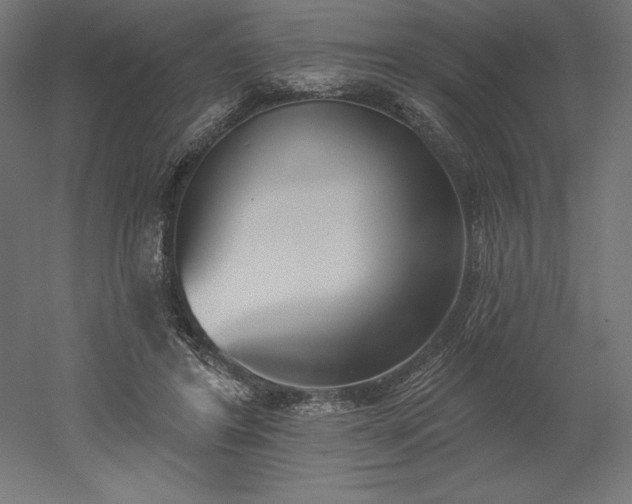 X0000051920404200507011605