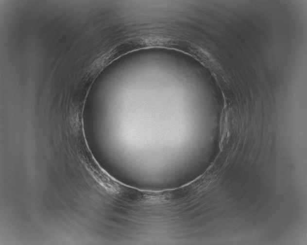 X0000051920405200507011605