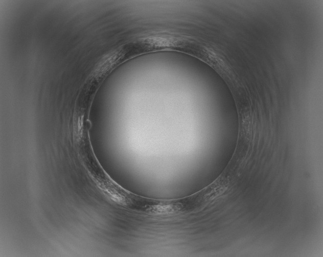 X0000051920406200507011605