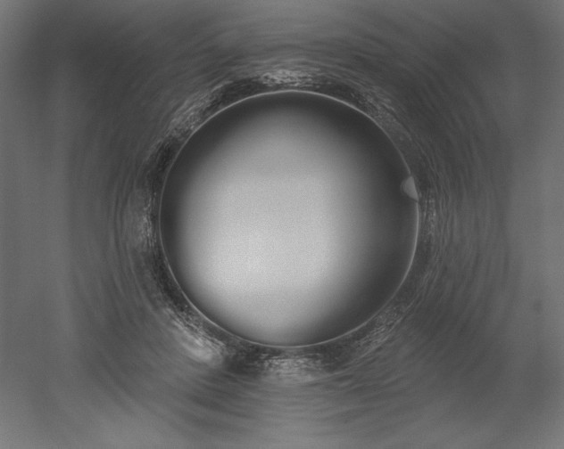 X0000051920408200507011605