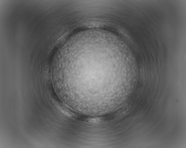 X0000051920411200507011605