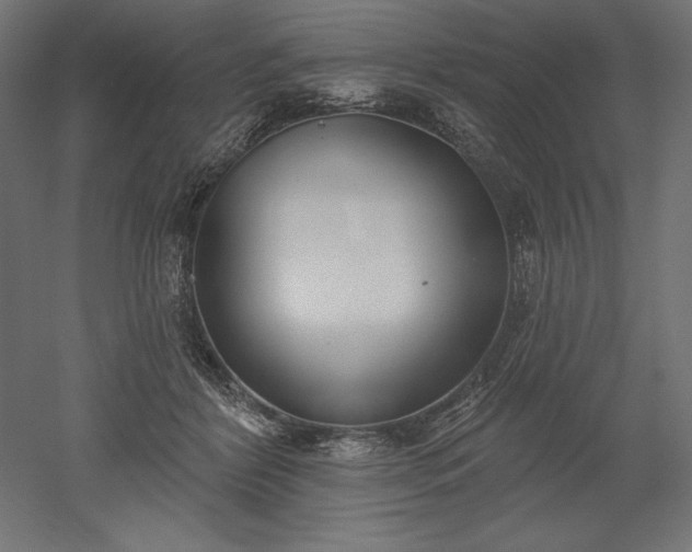 X0000051920412200507011605