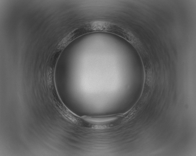 X0000051920413200507011605