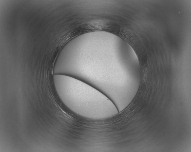 X0000051920414200507011605