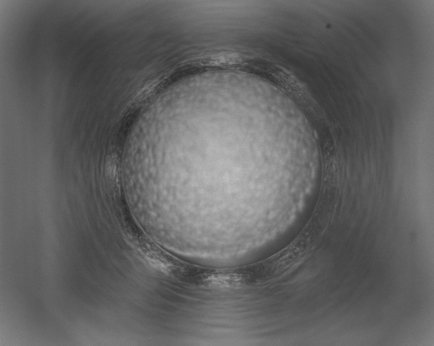 X0000051920415200507011605