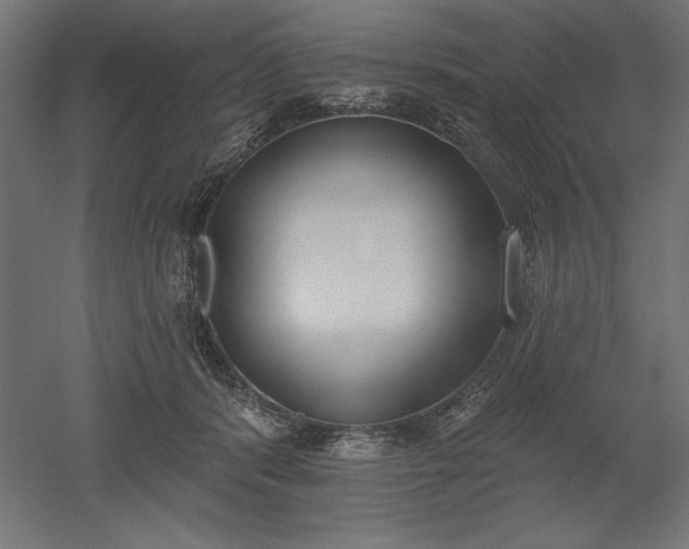 X0000051920416200507011605