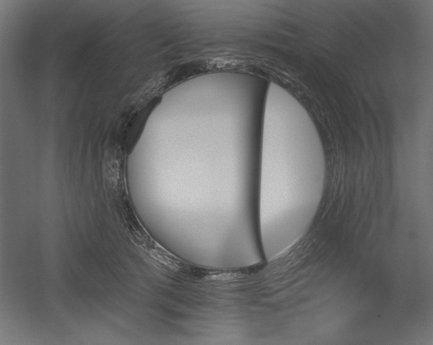 X0000051920417200507011605