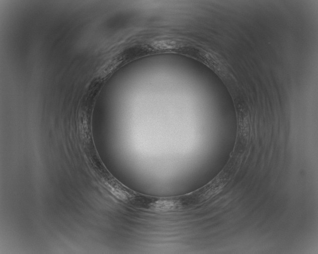 X0000051920418200507011605