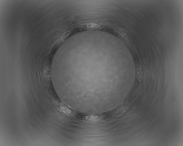X0000051920419200507011605