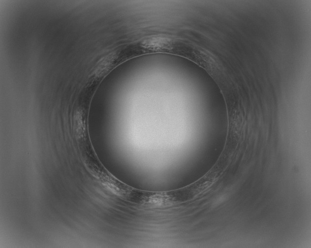 X0000051920420200507011605