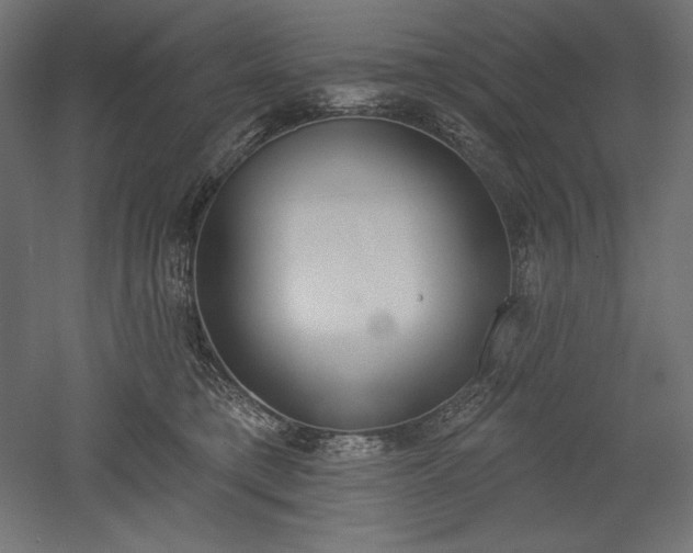 X0000051920421200507011605