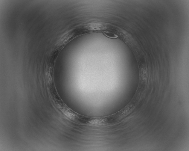 X0000051920422200507011605